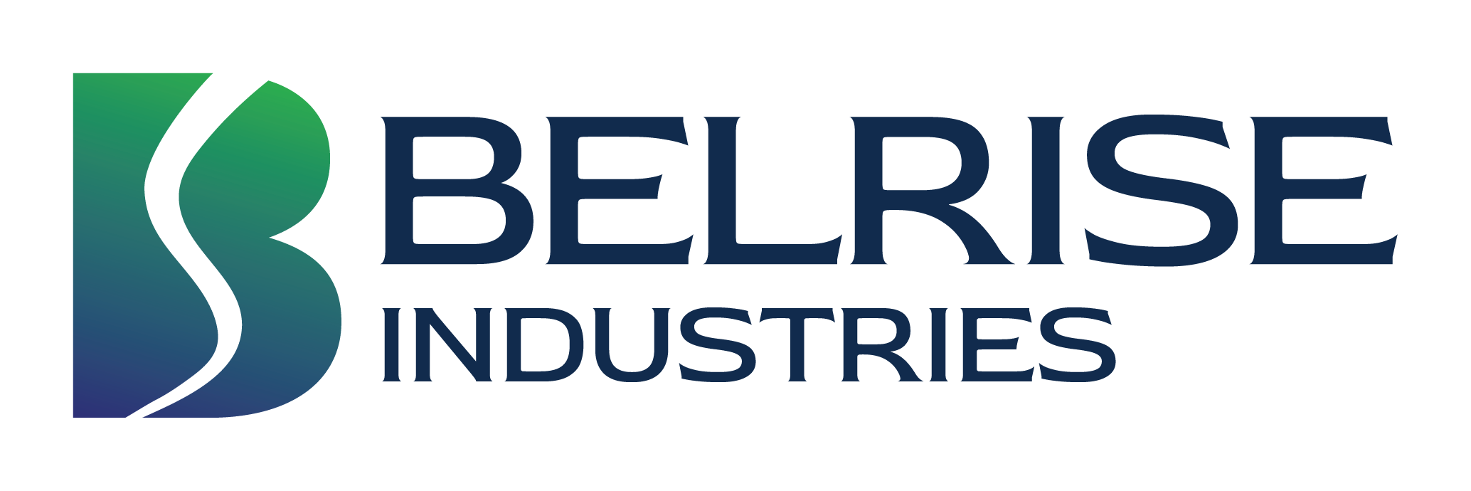 Belrise Industries Limited logo